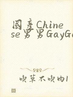 国产Chinese男男GayGayAPP