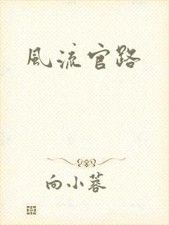 风流官路