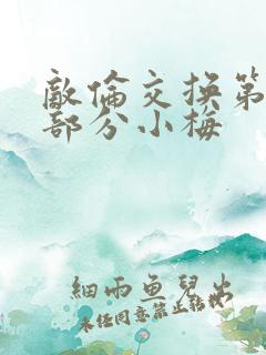 敌伦交换第11部分小梅