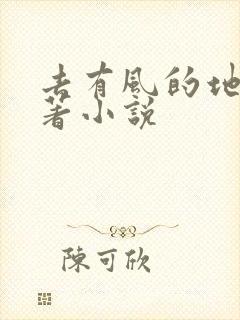 去有风的地方原著小说