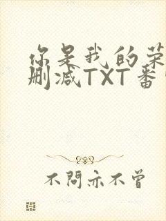 你是我的荣耀未删减TXT番外