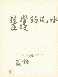 狡猾的风水相师在线