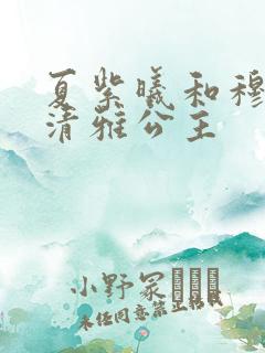 夏紫曦和穆景天清雅公主