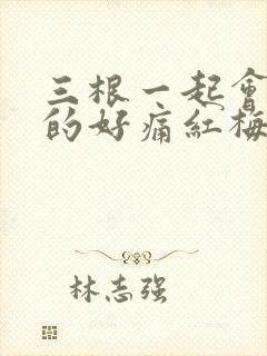 三根一起会坏掉的好痛红梅