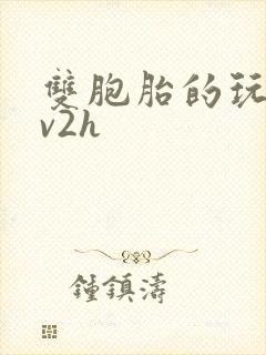 双胞胎的玩具1v2h