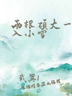 两根硕大一起挤入小雪