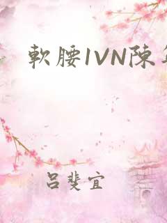 软腰1VN陈年