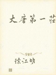 大唐第一庄