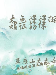 大龟慢慢挺进张娟征的休