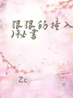 狠狠的撞入(h)秘书