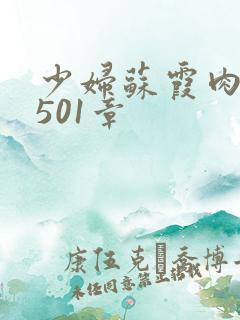 少妇苏霞肉欲第501章