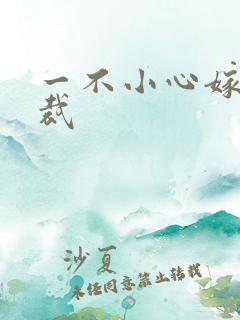 一不小心嫁给总裁