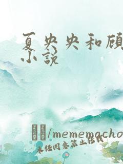 夏央央和顾祁琛小说