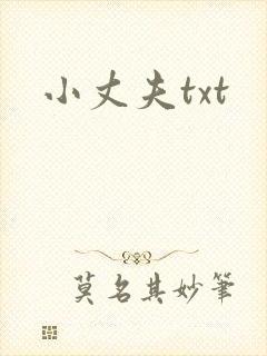 小丈夫txt