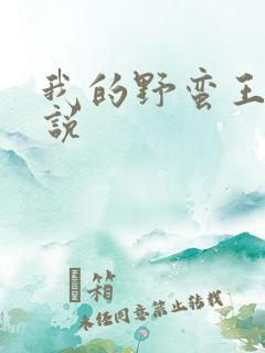我的野蛮王妃小说