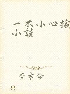 一不小心捡到爱小说