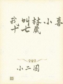 我叫林小喜今年十七岁