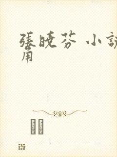 张晓芬 小说主角