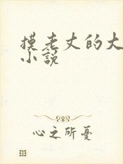 摸老丈的大牛子小说