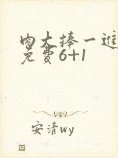 肉大捧一进一出免费6+1