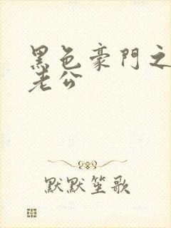 黑色豪门之王子老公