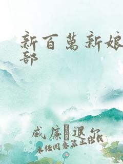 新百万新娘第二部