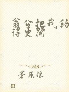 翁公把我的腿分得更开