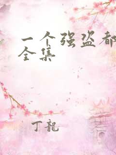 一个强盗都不留全集