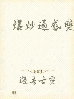 爆炒通感双胞胎