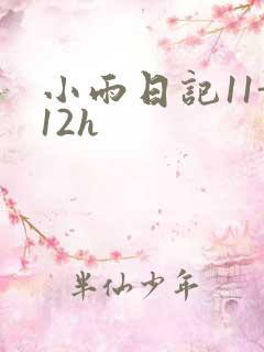 小雨日记11-12h