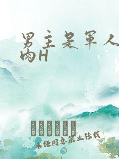 男主是军人的肉肉H