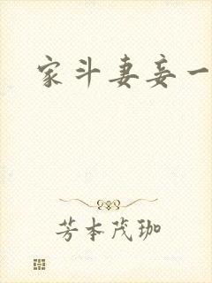 家斗妻妾一家欢