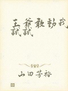 王爷敢动我妈咪试试