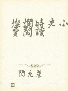 灿烂时光小说免费阅读