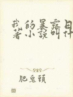 我的暴露日记原著小说叫什么