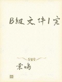 B级文件1完整