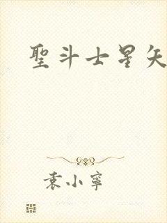 圣斗士星矢小说