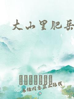 大山里肥岳小说