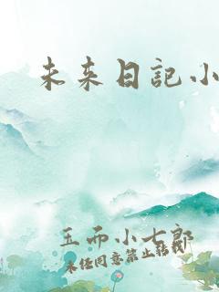 未来日记小说