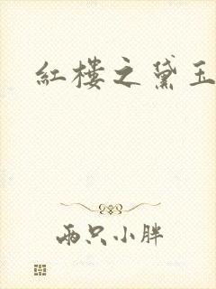 红楼之黛玉之弟