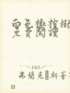 白色橄榄树全文免费阅读