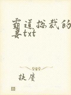 霸道总裁的挂名妻txt