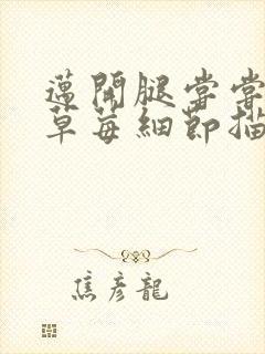 迈开腿尝尝你的草莓细节描写