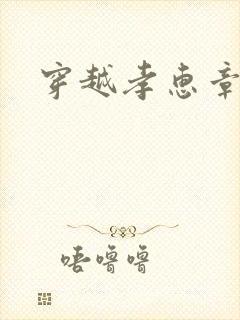 穿越孝惠章皇后