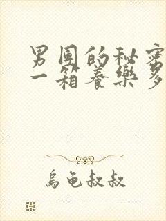 男团的秘密BY一箱养乐多小说