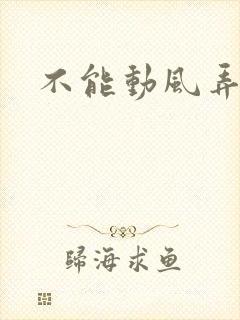 不能动风弄