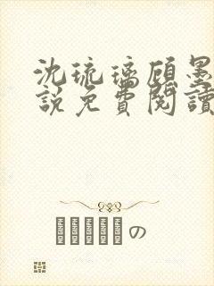 沈琉璃顾墨枫小说免费阅读