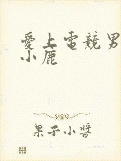 爱上电竞男神林小鹿