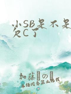 小SB是不是又欠C了