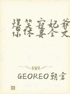 爆笑宠妃爷我等你休妻全文免费阅读